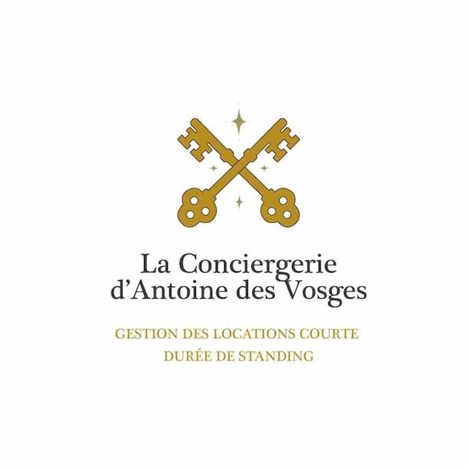 Les Violettes, Bel Appartement Au Centre-Ville Gérardmer Екстериор снимка